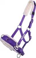 Kappzaum Halfter Nylonhalfter Longierhalfter QHP 7 Farben und 4 Grössen Farbe - lila Größe - Pony