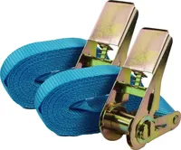2x Profi Ratschen Spanngurt Spanngurte Zurrgurt 1-tlg 4m 0,8t 0,8to 800kg BLAU