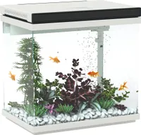 PawHut 26litrové akvárium s filtrem, LED osvětlením, vodním čerpadlem, pro různé druhy ryb, cca 38 x 26 x 38 cm