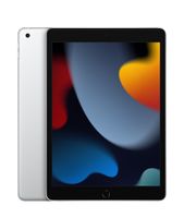 Apple iPad 2021 10.2" Wi-Fi 256GB - Silber (HK / JP Spec)