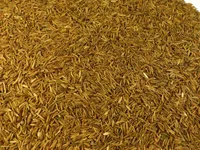 Kreuzkümmel ganz Naturideen® 100g