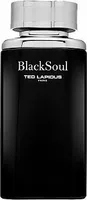 Ted Lapidus Black Soul Eau de Toilette für Herren 100 ml