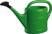 Gießkanne grün 5 Liter Kunststoff