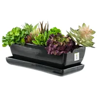 Blumentopf Blumenübertopf Graphit Kaktenschale mit Untersetzer Rechteck LxBxH 15 cm x 29 cm x 9 cm Oberfläche Glanz Kakten Keramik Modern Glamour