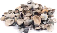 Muscheln 20l im Sack
