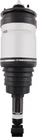 Tylna kolumna zawieszenia pneumatycznego do Land Rover Range Rover Sport RPD501090