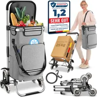 aktivshop Treppensteiger-Einkaufsroller Premium Silber