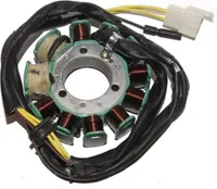 LICHTMASCHINE STATOR für LIFAN LF250-4 Jinlun JL250-5 Motorrad 250 CCM