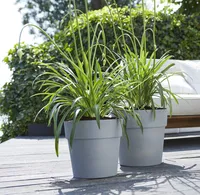 Elho Vibia Straight Pflanztopf Ø47 cm