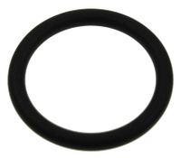 Kärcher 6.363-468.0 Dichtung 22x3 u.a. für SC1030 SC3000 Dampfreiniger