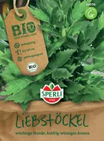 Liebstöckel Maggikraut | Liebstöckelsamen von Sperli [MHD 01/2025]
