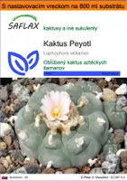 SAFLAX Garden in the bag - Kaktus Peyotl - Lophophora williamsii - 20 Semená - S pestovateľským substrátom v praktickom samostaviteľnom vrecku