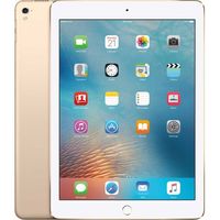 Apple iPad mit WiFi, Farbe:Gold, Apple Größe:32 GB