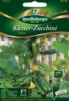 Quedlinburger Saatgut - Kletterzucchini Quine - Samen - 290367
