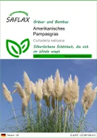 SAFLAX - Gräser-Bambus-Amerikanisches Pampasgras - 200 Samen - Cortaderia selloana