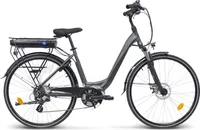 Villette Urban E600,elektrisches Damenfahrrad Mittelmotor 13Ah 7sp 28 Zoll