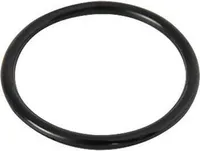 Bestway® Ersatzteil O-Ring (Auslassmutter) für LAY-Z-SPA® HydroJet Pro™ Whirlpools (2021/22)