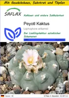 SAFLAX Anzucht Set - Peyotl Kaktus  - Lophophora williamsii - 20 Samen - Mit Mini-Gewächshaus, Anzuchtsubstrat und 2 Töpfen