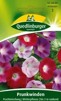 Quedlinburger Saatgut - Prunk-Winde Prachtmischung - Samen - 514402