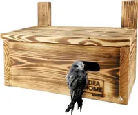 LEVIATAN APUS Nistkasten für Mauersegler, Vögel, aus Massivem-Holz - Verschraubt