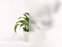 121-001 Folia samoprzylepna transparentna - PIASEK DROBNY - Szerokość 122 cm