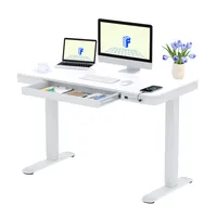 FLEXISPOT Höhenverstellbarer Schreibtisch Elektrisch mit Schublade, USB A&C, 4 Speicherplätzen, Antikollisionsschutz, LED-Display 120x60cm (Weiß)