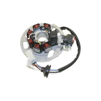 Lichtmaschine Stator für 50ccm CPI (Minarelli) Motoren, Adly, Explorer, Keeway, Kreidler, Sachs, Tau