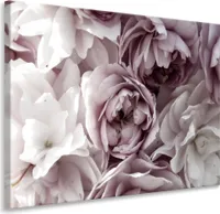 Muralo Leinwandbild Wandbild BLUMEN Pflanzen Natur 3D Effekt Wanddeko für Wohnzimmer 70 cm x 50 cm