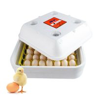 Cocoarm Automatische Brutmaschine Inkubator Ei-Inkubator Brutkasten Brutapparat für 9 Eier mit LED Temperaturanzeige Temperatur und Feuchtigkeitsregulierung 