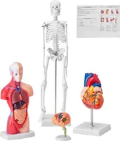 VEVOR 4-teilige Menschliche Anatomiemodelle Menschlicher Körper Anatomie Modell, Vollskelett / Vollorganset / Herz / Gehirn Abnehmbarer Menschlicher Körper Modell, für Medizinstudenten Ärzte & Lehrer