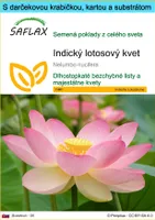 SAFLAX Darčeková sada - Indický lotosový kvet - Nelumbo nucifera   - 8 Semená - S darčekovou krabičkou, prepravným štítkom, darčekovou kartou a pestovateľským médiom
