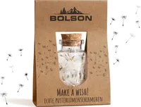 Wunscherfüller Pusteblume | echte Pusteblumen Schirmchen im Glas | Zum Verschenken Geburtstagsgeschenk | Gastgeschenk | Hochzeitsgeschenk