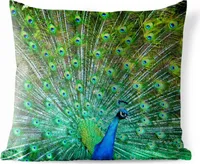 MuchoWow® Outdoor Kissen - Pfau mit blau-grünem Gefieder - 60x60 cm - Wetterfest - Lounge Kissen - Dekoration - Schlaf Kissen