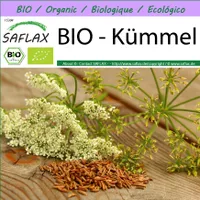 SAFLAX -- Kümmel - 800 Samen - Carum carvi
