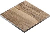 BRASIL | Gastro Tischplatte | B:T 60 x 60 cm | Sheesham | Quadratisch | Gastro Tischplatte