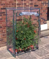 Tomaten Gewächshaus Frühbeet Treibhaus Frühbeetkasten Tomatenhaus Kasten Tomate