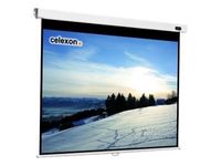 celexon Rolloleinwand Professional 1:1, 280 x 280 cm Projektionsfläche