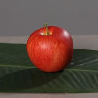 16 Deko Äpfel Apfel 8 ROT 8 GRÜN Kunst Gemüse künstliches Obst Früchte Set 