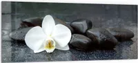 DEQORI Küchenrückwand Glas 125x50 cm 'Kontrastreiches Zen-Motiv' Spritzschutz Bad Rückwand