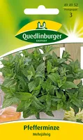 Quedlinburger Saatgut - Pfefferminze - Samen - 494952