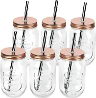 Schramm® 6 Stück Trinkgläser 500 ml mit Strohhalm wiederverwendbar Glas Gläser Einmachgläser mit 12 Deckeln wählbar in silber, bronze, schwarz und bunt Aufbewahrungsglas, Farbe:bronze