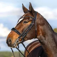 Passier Kandare Moonlight Kandarenknopfzaum Schwarz Warmblut