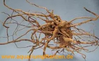 1 sztuka Finger Wood 20-40 cm,Replika acja, korzeń