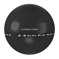 Trendy Sport Bureba Ball Ø 65 cm, Sitz- und Gymnastikball, ideal für privaten Gebrauch, platzsicher, inkl. Übungsplan und Handpumpe, in anthrazit