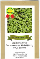 Gartenkresse kleinblättrig - Lepidium Sativum - 5000 Samen
