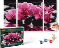 Noris Spiele Painting by Numbers - Orchidee (Tryptyk); 609260603
