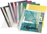 DURABLE Sichthefter A4, Pckg. à 50, 257305 grün