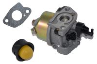 Vergaser für Riwall PRO RPM 5135 / RPM 4235 / RPM 4735 Rasenmäher