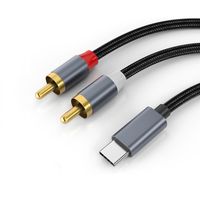 INF USB-C na 2x RCA stereo audio kábel Šedá