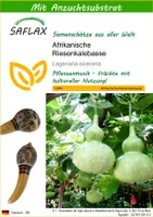 SAFLAX - Afrikanische Riesenkalebasse - 15 Samen - Mit keimfreiem Anzuchtsubstrat - Lagenaria siceraria